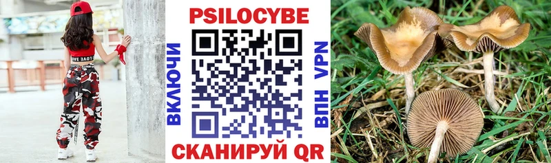Галлюциногенные грибы мухоморы  Оха 